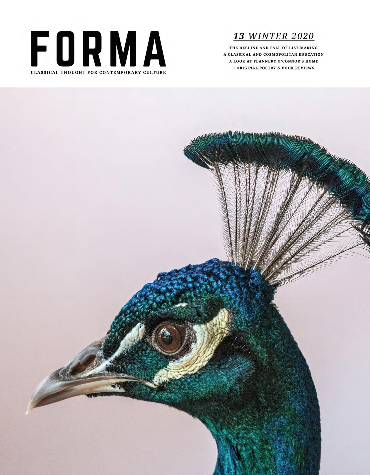 Forma Issue #13 by CiRCE Institute - Issuu