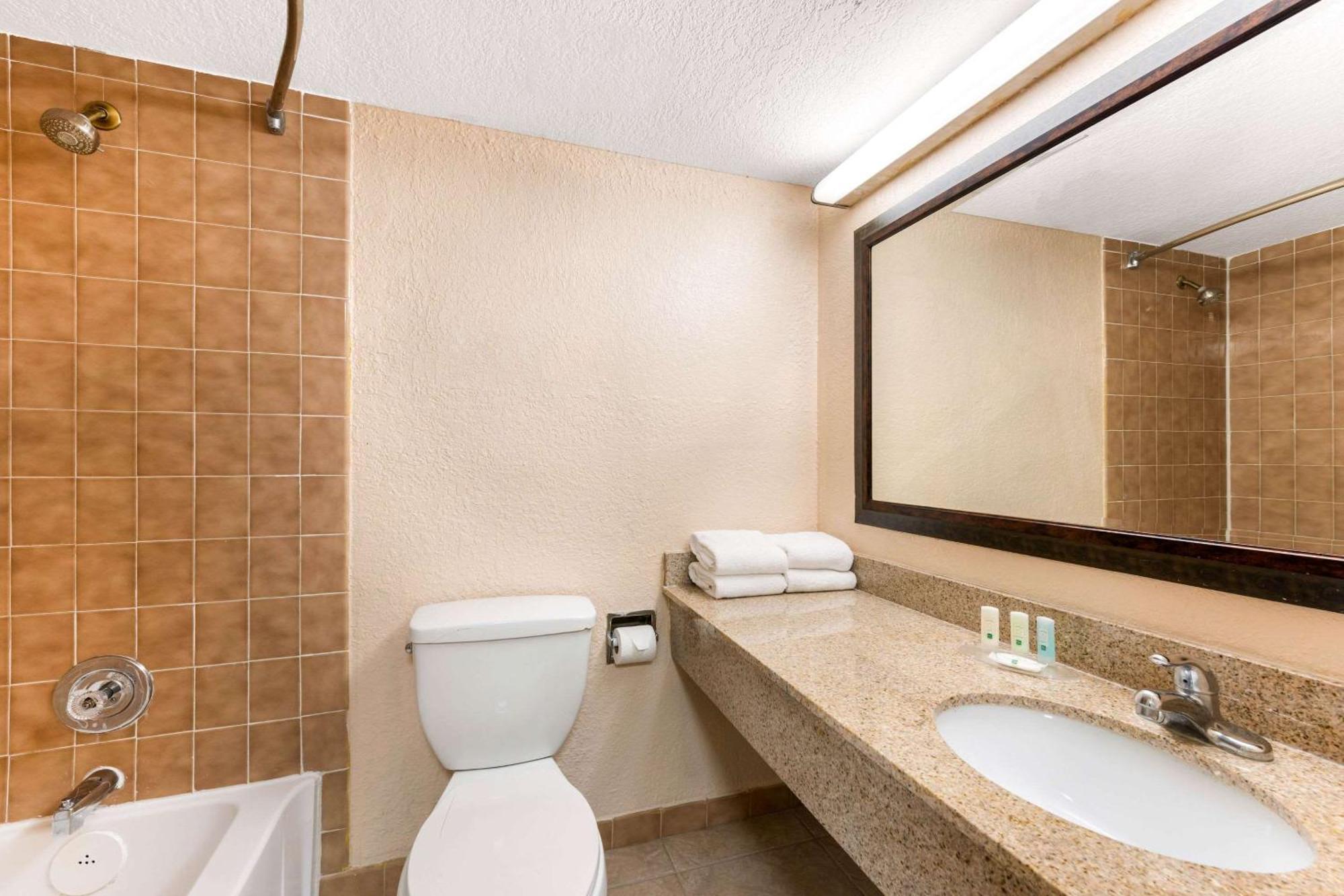 One-Bedroom Queen Suite with Sofa Bed - Non-Smoking