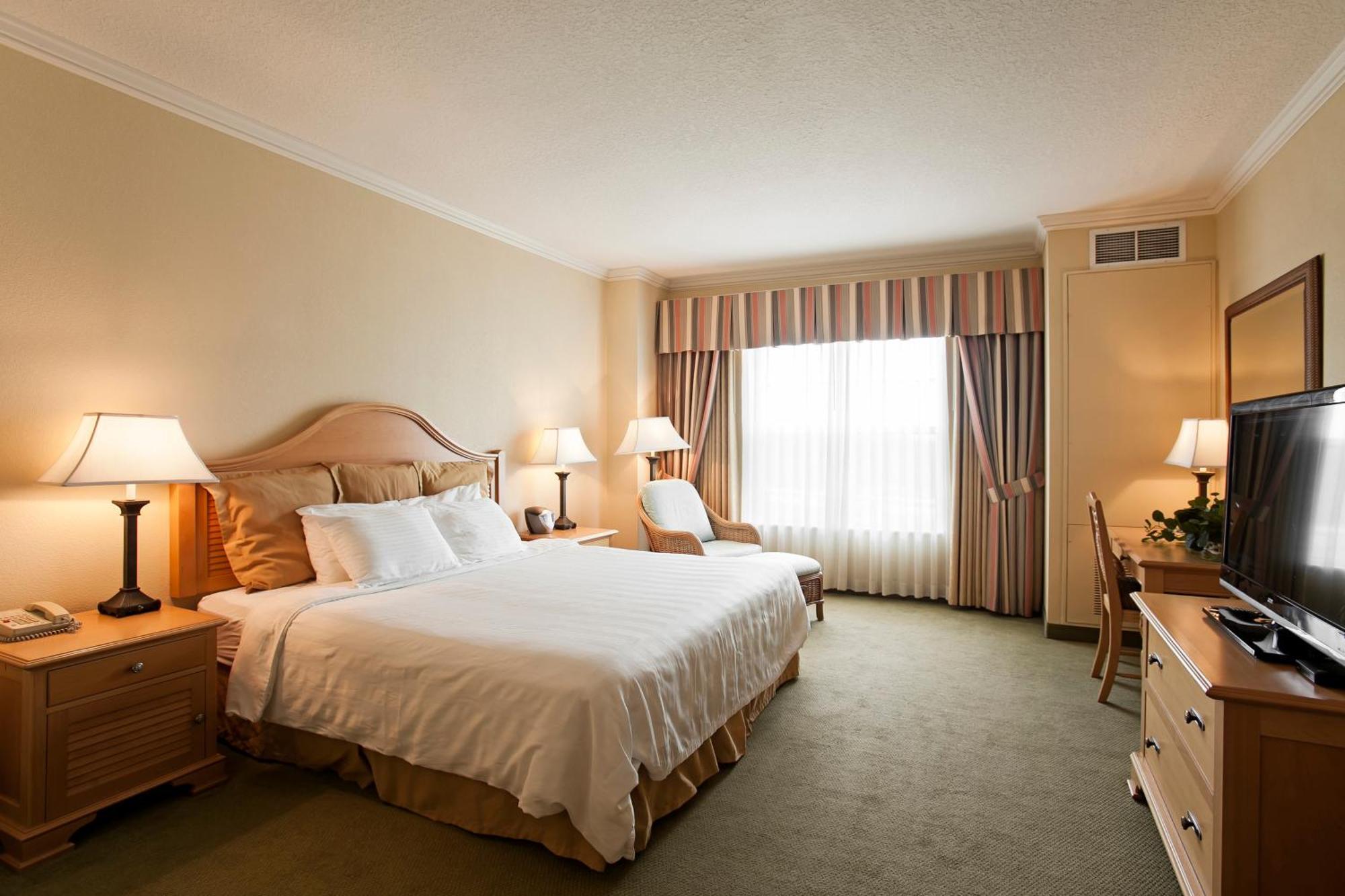 King Room,62517427:JPEG