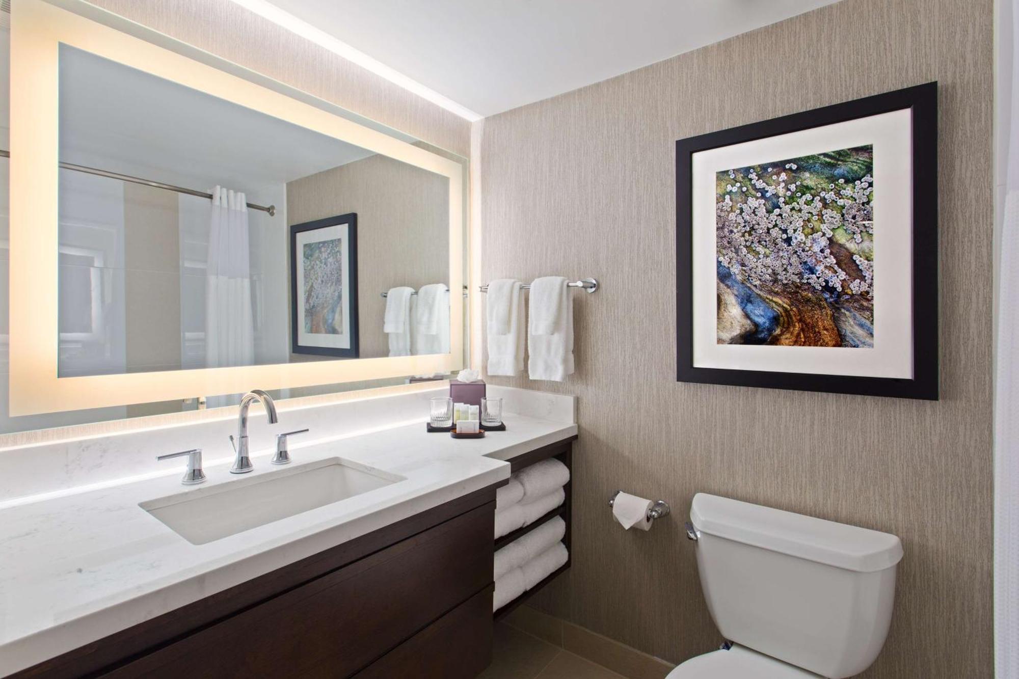 Suite met 1 Slaapkamer en Kingsize Bed - Slaapbank