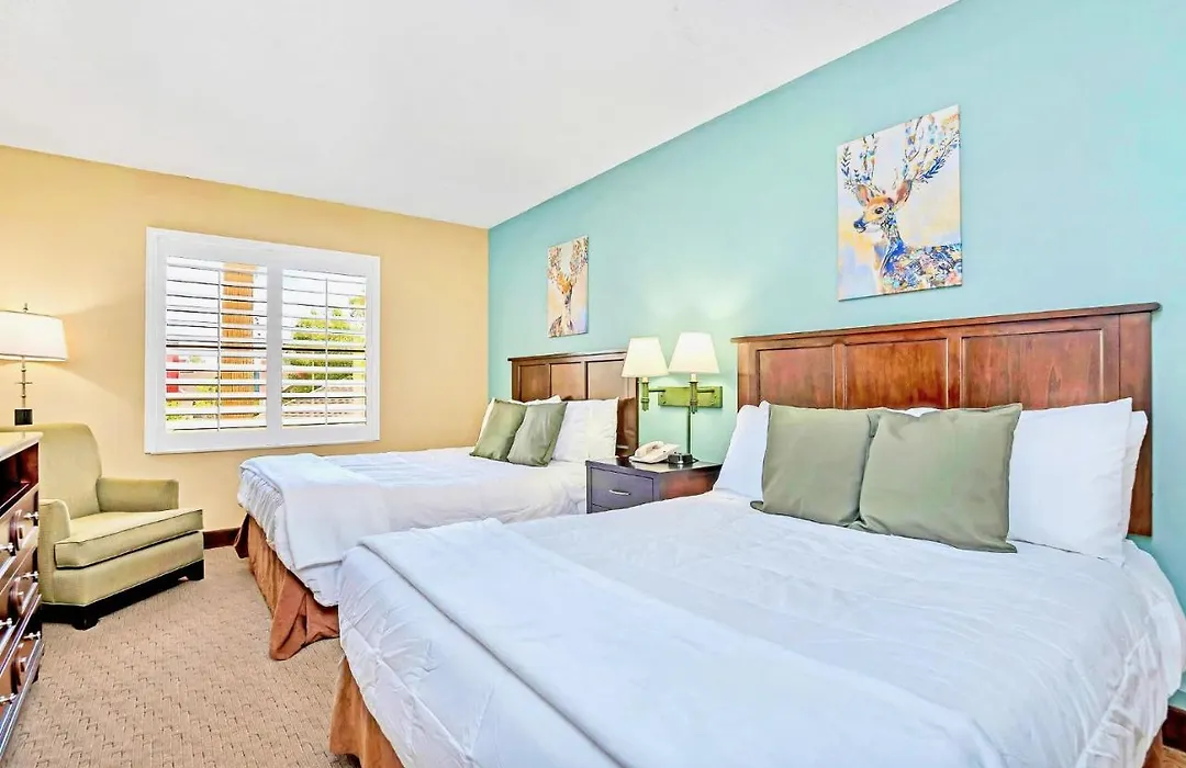 1Br With Two Queen Beds - Near Disney-1