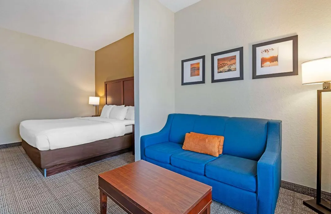 Comfort Suites Downtown-1