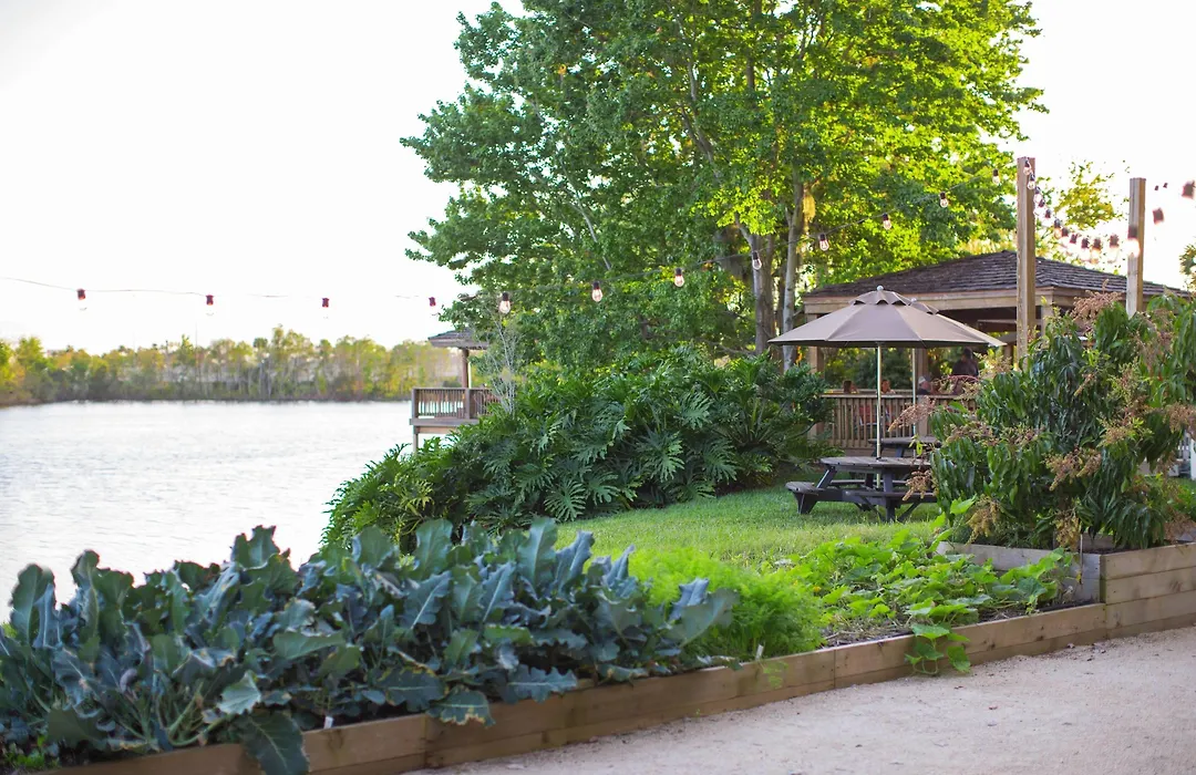 Marriott Orlando Airport Lakeside-1