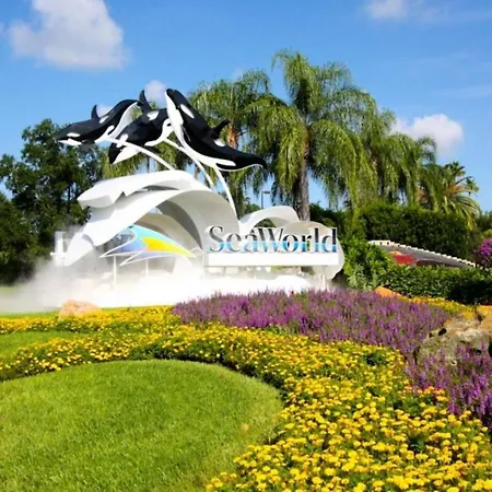 Stunning 6 Bedroom 4 Bath Villa With Private South Facing Pool-2