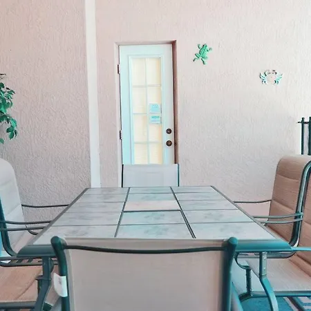 Tranquil Orange Tree Escape-2
