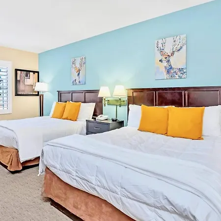 1Br - 2 Queen Beds Near Disney W Hot Tub And Pool-2