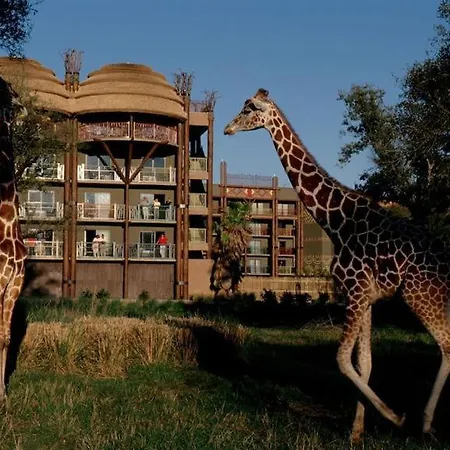 Disney'S Animal Kingdom Lodge-3