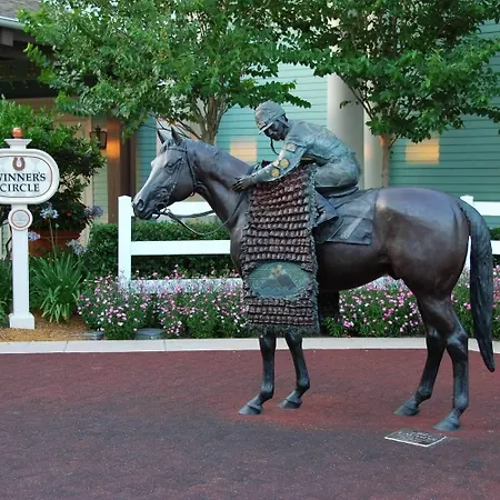 Disney'S Saratoga Springs Resort And Spa-3