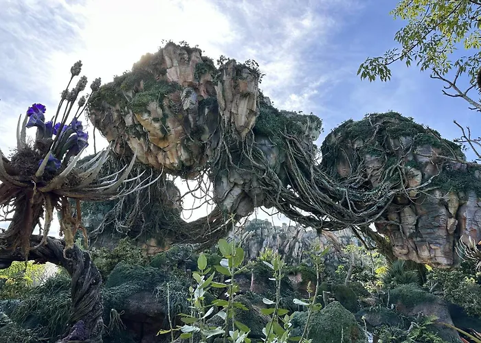 7741 Windsor Hills Vila Orlando que aceita animais de estimação